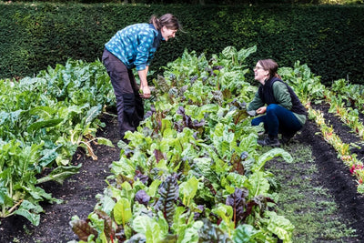 A photo of two gardeners laughing together