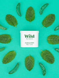 Mint & Aloe Vera Trio Pack