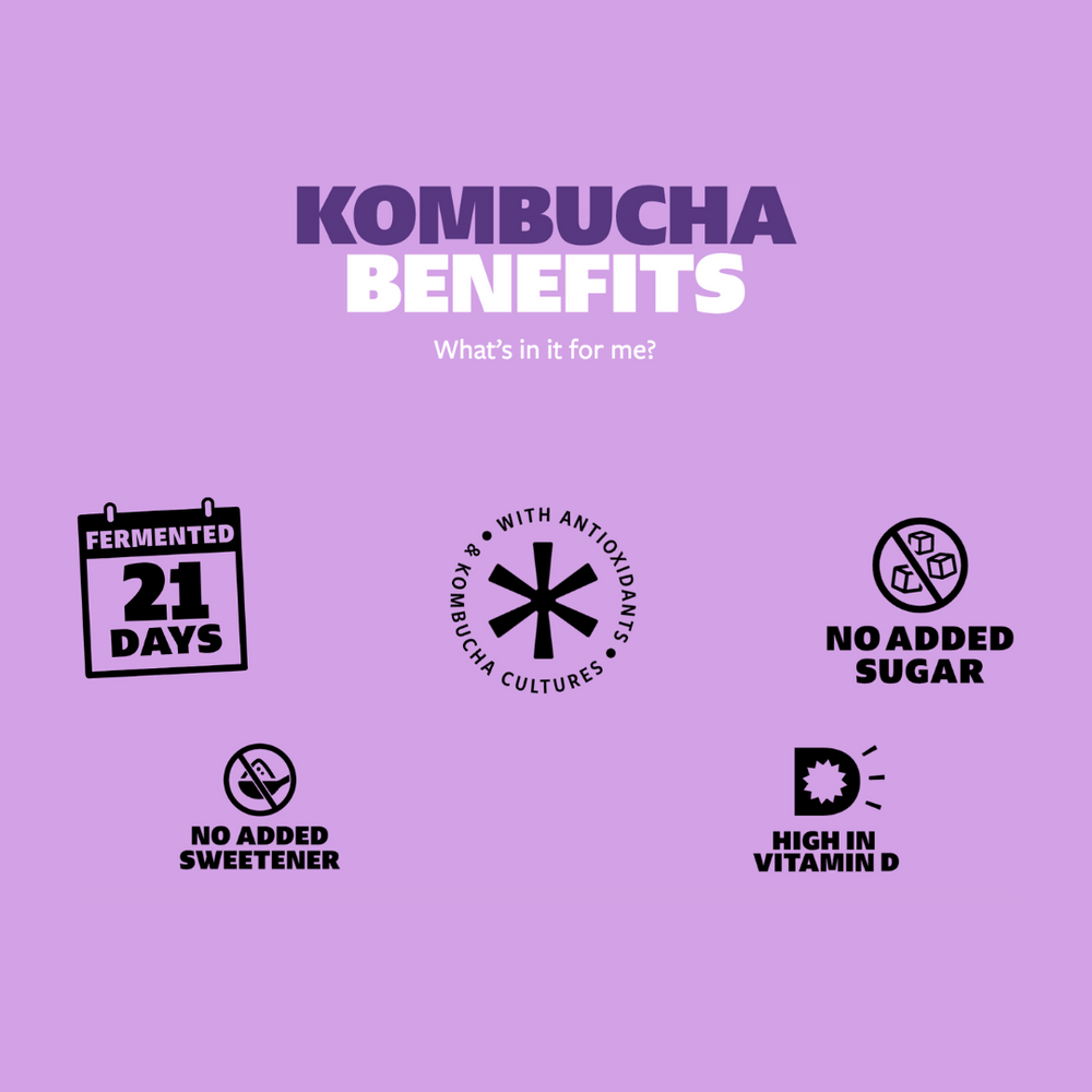 Blueberry & Raspberry Kombucha (12 case)