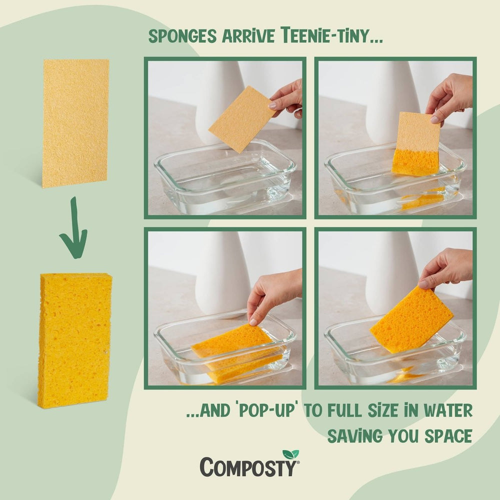 Composty® | JUMBO 'Pop-Up' Eco Sponges | 3 Multipack