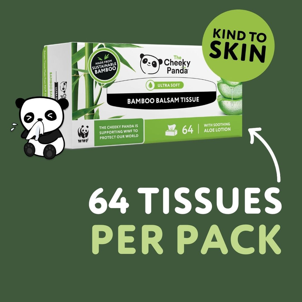 Flat Bamboo Balsam Tissues | 12 Boxes