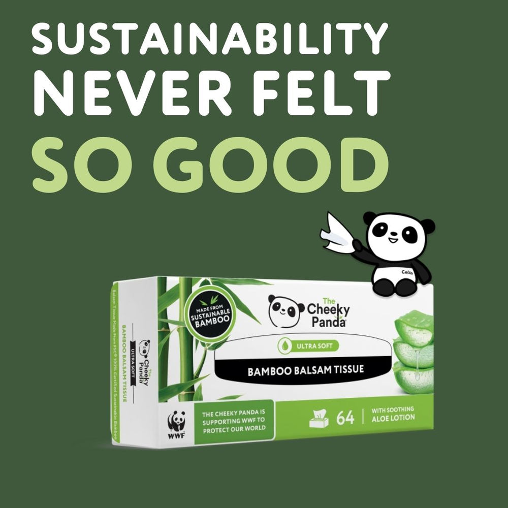 Flat Bamboo Balsam Tissues | 12 Boxes