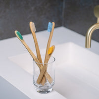 Eco Natural Bamboo Toothbrush