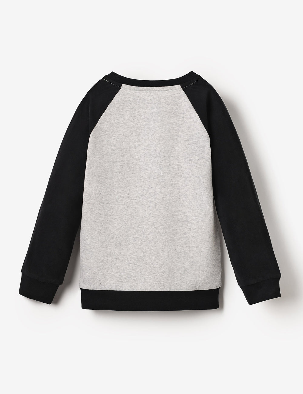 Organic LS Raglan Tee - Echidna Pianist