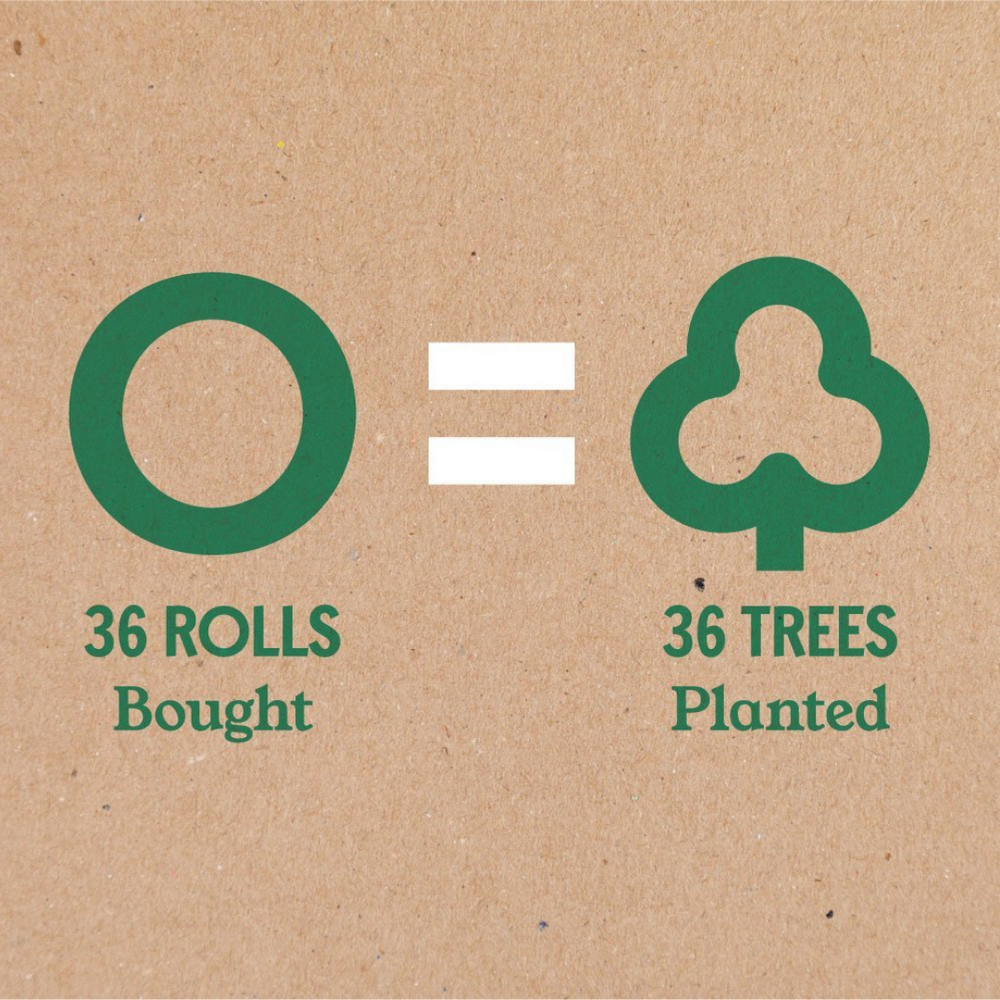 Sustainable, UK made 2-ply toilet roll (36 pack)