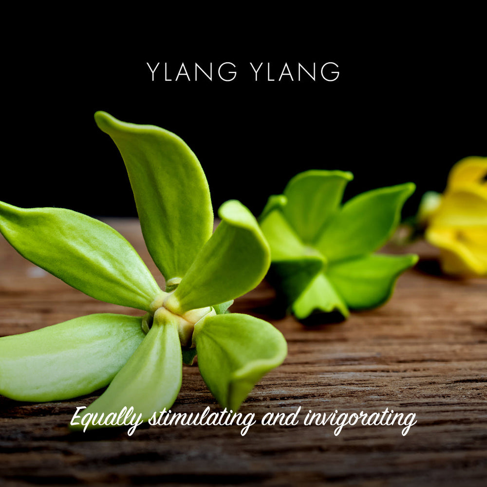 Ylang Ylang Natural Soap