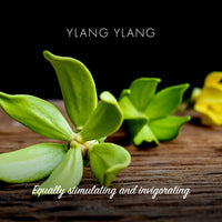 Ylang Ylang Natural Soap