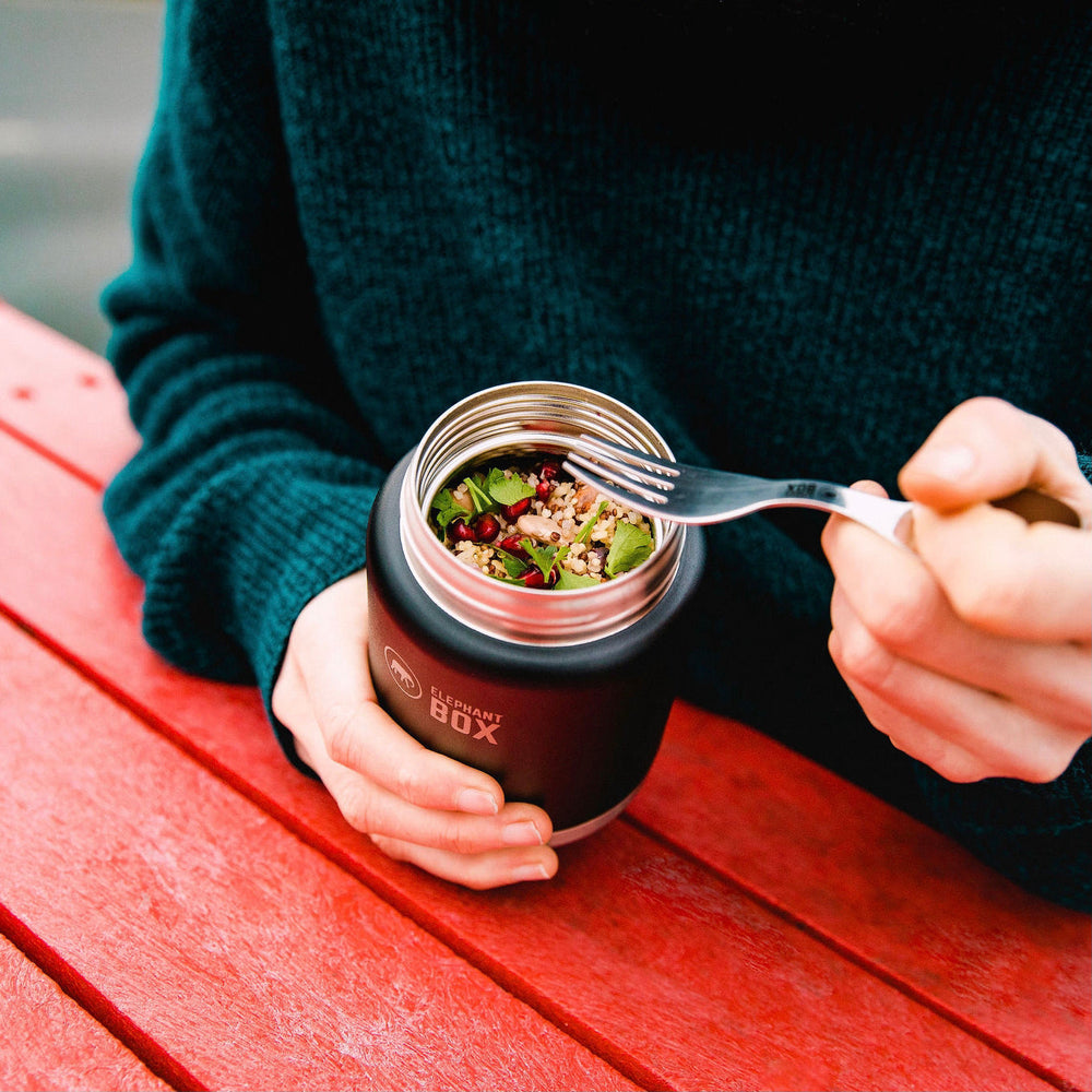 Insulated Food Flask